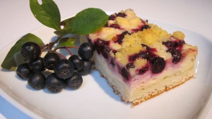 Aronia Rezepte Aronia Rezepte