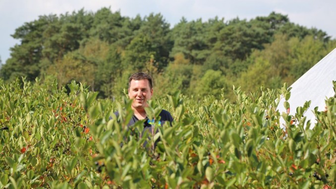 Aronia Strauch Verlosung Aronia Strauch Verlosung