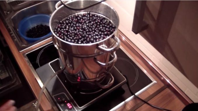 Aroniasaft mit Dampfentsafter herstellen Aroniasaft mit Dampfentsafter herstellen