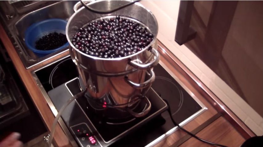 Aroniasaft herstellen mit einem Dampfentsafter