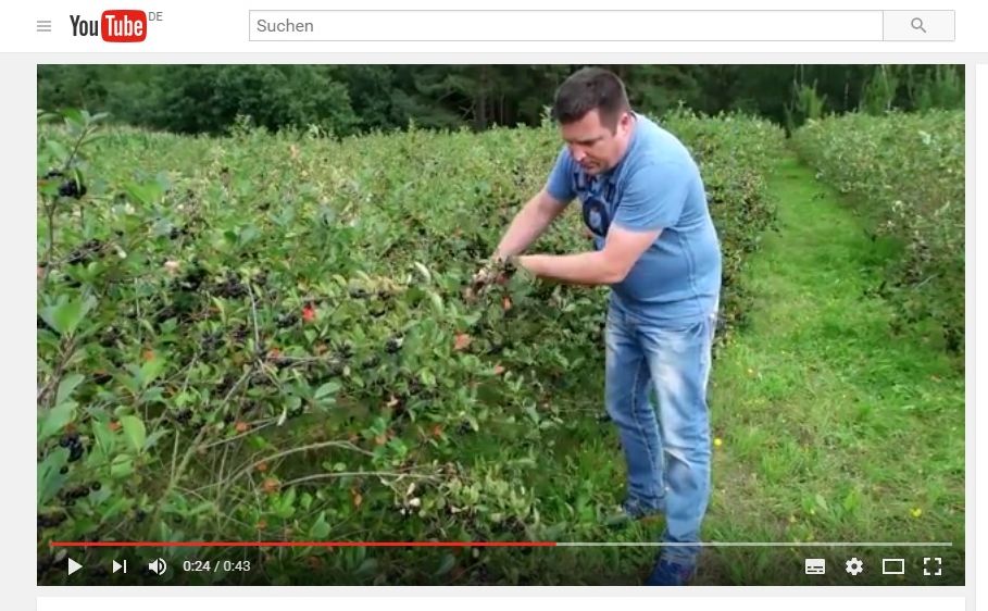 Heide Aronia Youtube