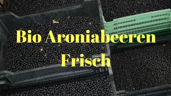 Bio Aroniabeeren frisch