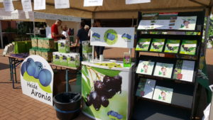 Aronia Erntefest Infostand