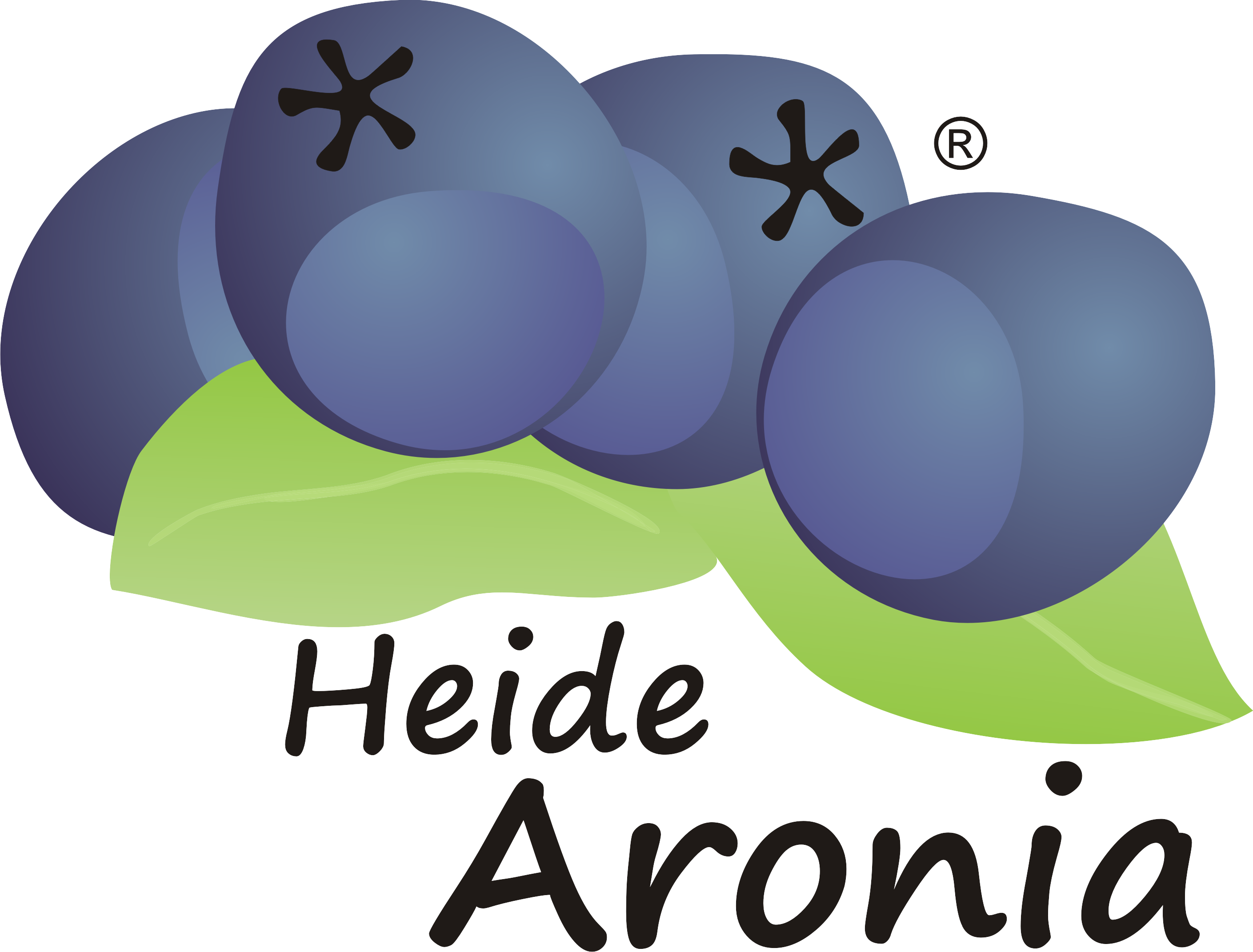 Heide Aronia