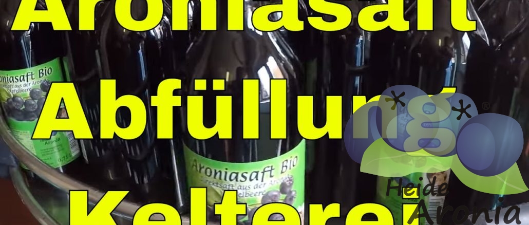 Aroniasaft Abfüllung Kelterei