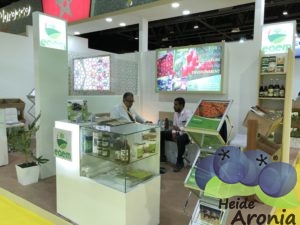 WOP Dubai 2017