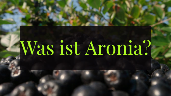 Was ist Aronia für eine Frucht Was ist Aronia für eine Frucht
